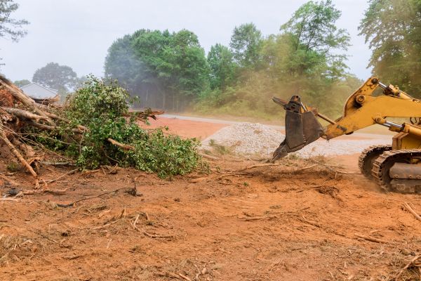 Ground Clearing in Elk Grove