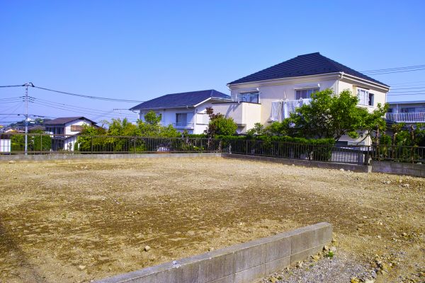 Cost of Lot Clearing Service in Elk Grove