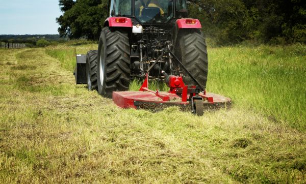 Brush Clearing Service in Elk Grove