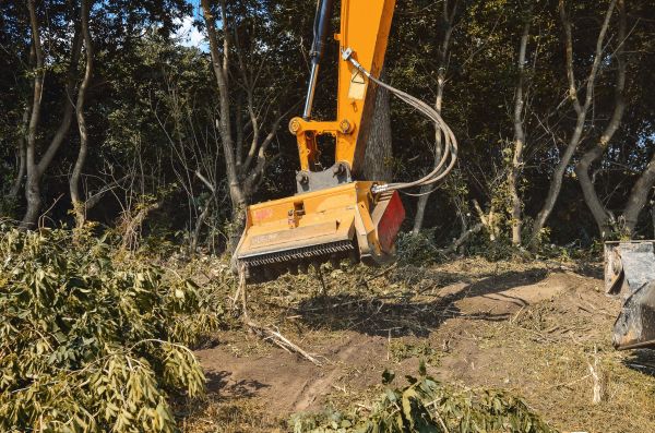 Brush Removal Service in Elk Grove