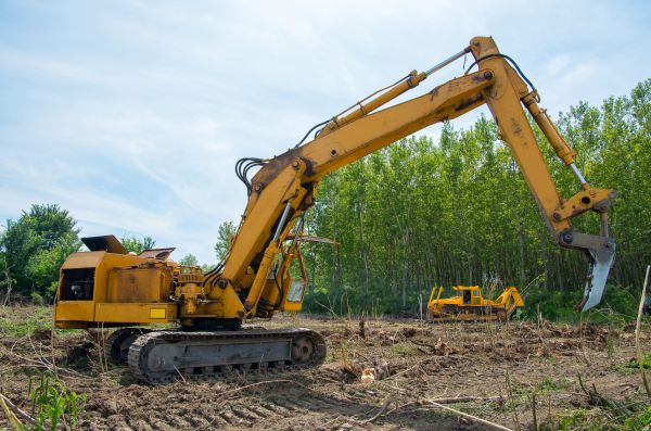 Cost of Farm Clearing in Elk Grove