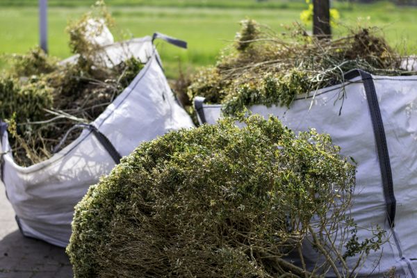 Cost of Bushes Clearing in Elk Grove