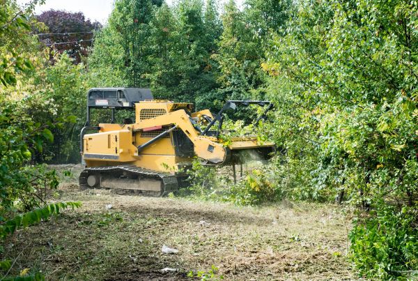 Cost of Pathway Clearing in Elk Grove