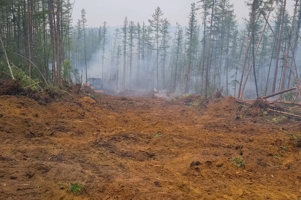 Cost of Hill Clearing in Elk Grove