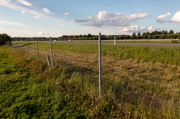 Cost of Property Line Clearing in Elk Grove