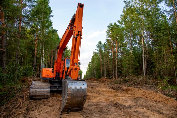 Cost of Backhoe Land Clearing in Elk Grove