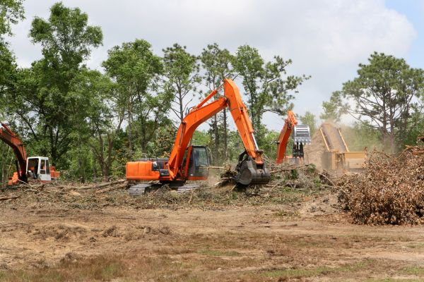 Cost of Commercial Lot Clearing in Elk Grove
