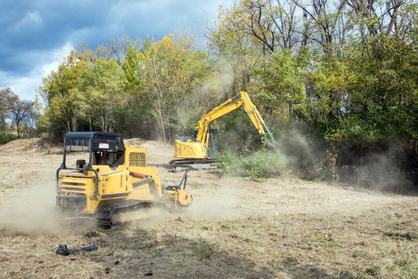 Cost of Terrain Clearing in Elk Grove
