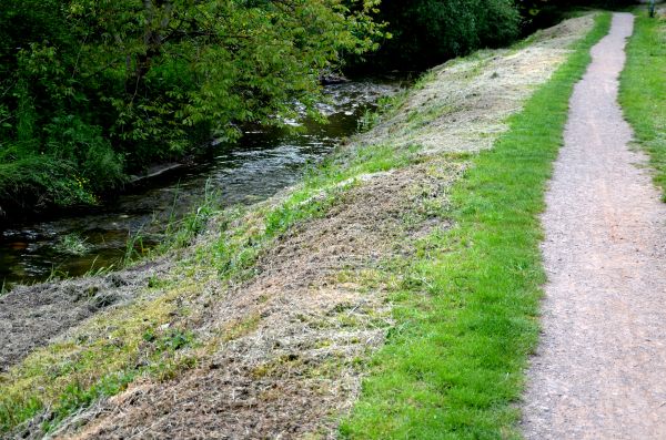 Cost of Trail Cutting in Elk Grove